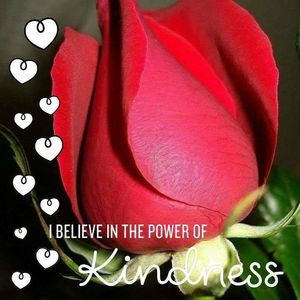 Meet your Posher, Roseann